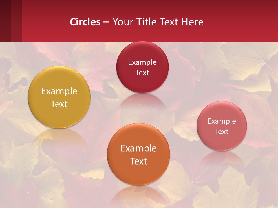 A Bunch Of Colorful Leaves On A White Background PowerPoint Template