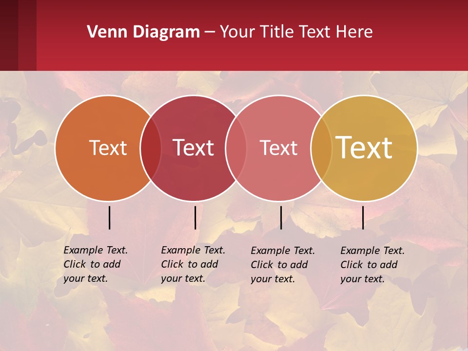 A Bunch Of Colorful Leaves On A White Background PowerPoint Template