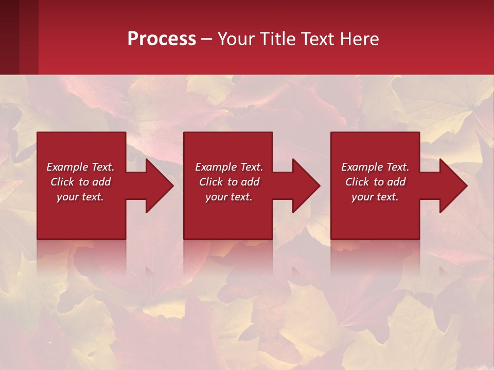 A Bunch Of Colorful Leaves On A White Background PowerPoint Template