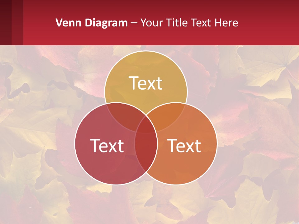 A Bunch Of Colorful Leaves On A White Background PowerPoint Template