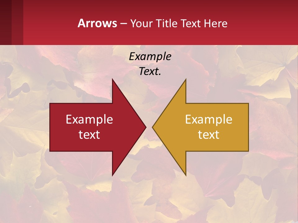 A Bunch Of Colorful Leaves On A White Background PowerPoint Template