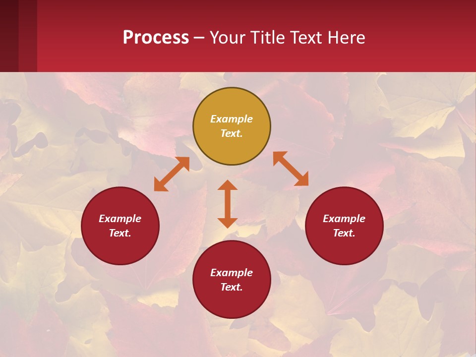 A Bunch Of Colorful Leaves On A White Background PowerPoint Template