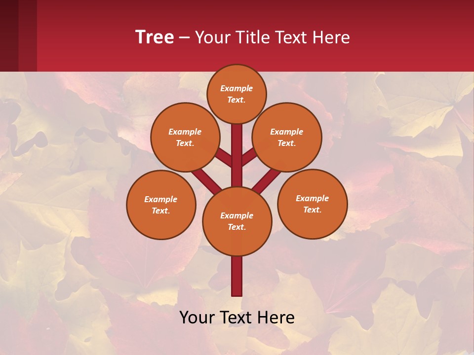 A Bunch Of Colorful Leaves On A White Background PowerPoint Template