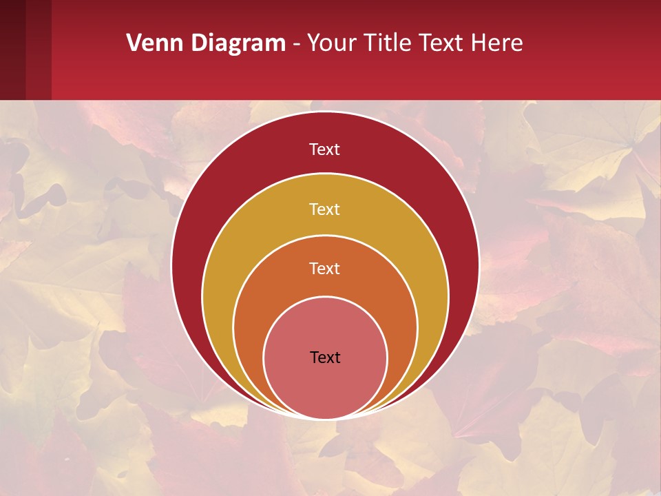 A Bunch Of Colorful Leaves On A White Background PowerPoint Template
