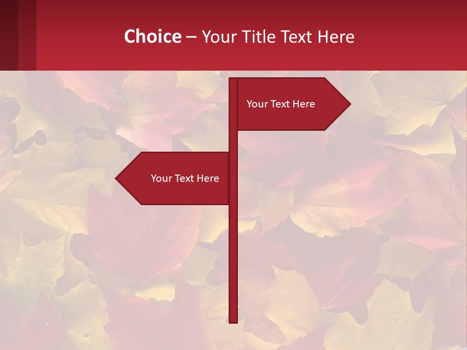 A Bunch Of Colorful Leaves On A White Background PowerPoint Template