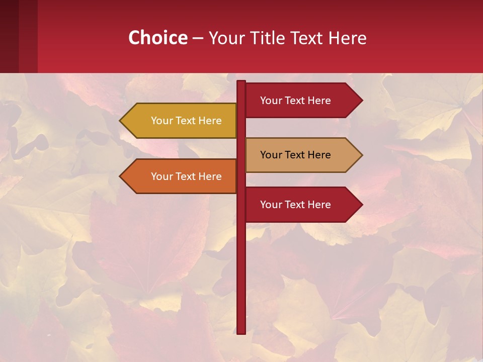 A Bunch Of Colorful Leaves On A White Background PowerPoint Template