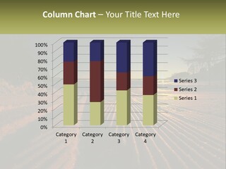 Crosscountry Fresh Trail PowerPoint Template