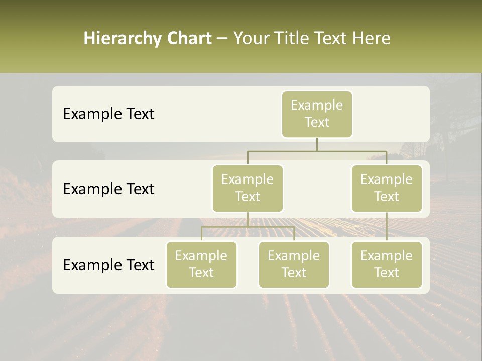 Crosscountry Fresh Trail PowerPoint Template