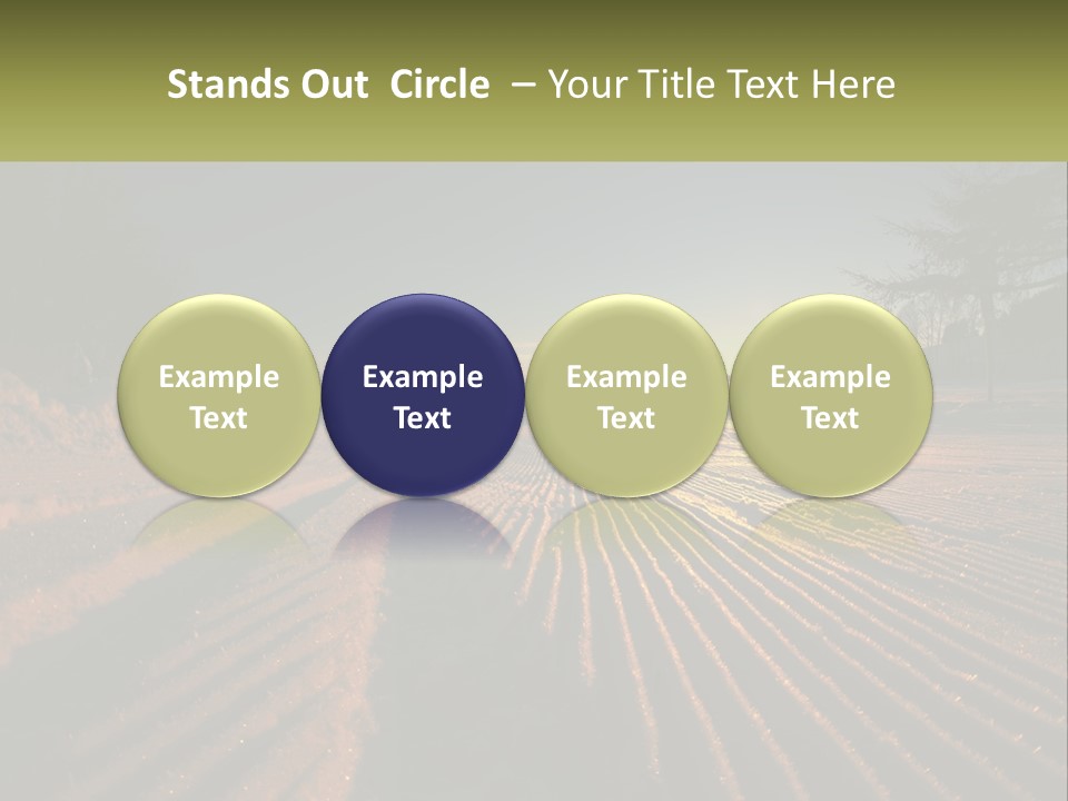 Crosscountry Fresh Trail PowerPoint Template