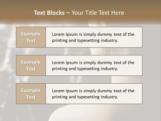 Artist Paparazzi Woman PowerPoint Template