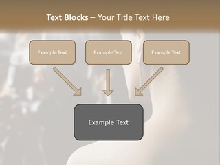 Artist Paparazzi Woman PowerPoint Template