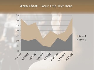 Artist Paparazzi Woman PowerPoint Template