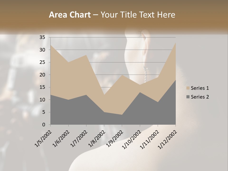 Artist Paparazzi Woman PowerPoint Template