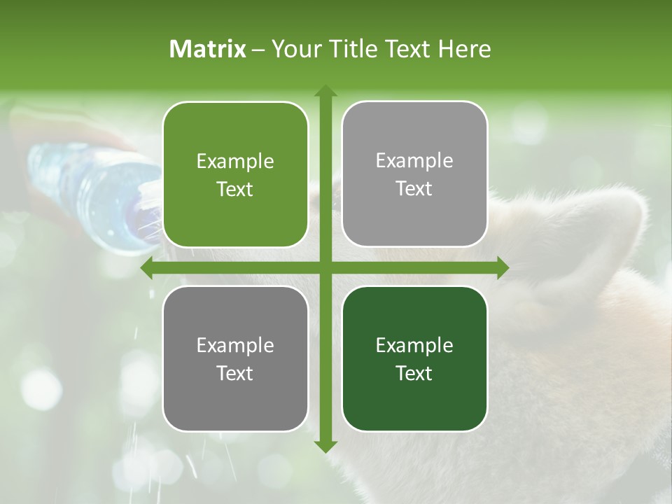 Mountain Brown Hiking PowerPoint Template