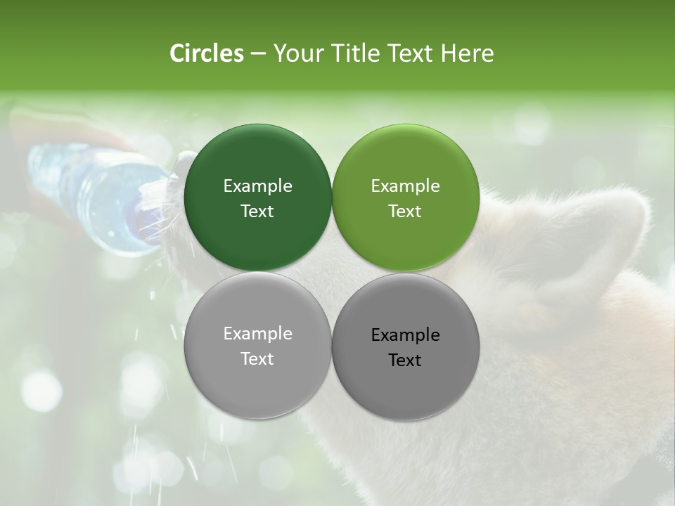 Mountain Brown Hiking PowerPoint Template