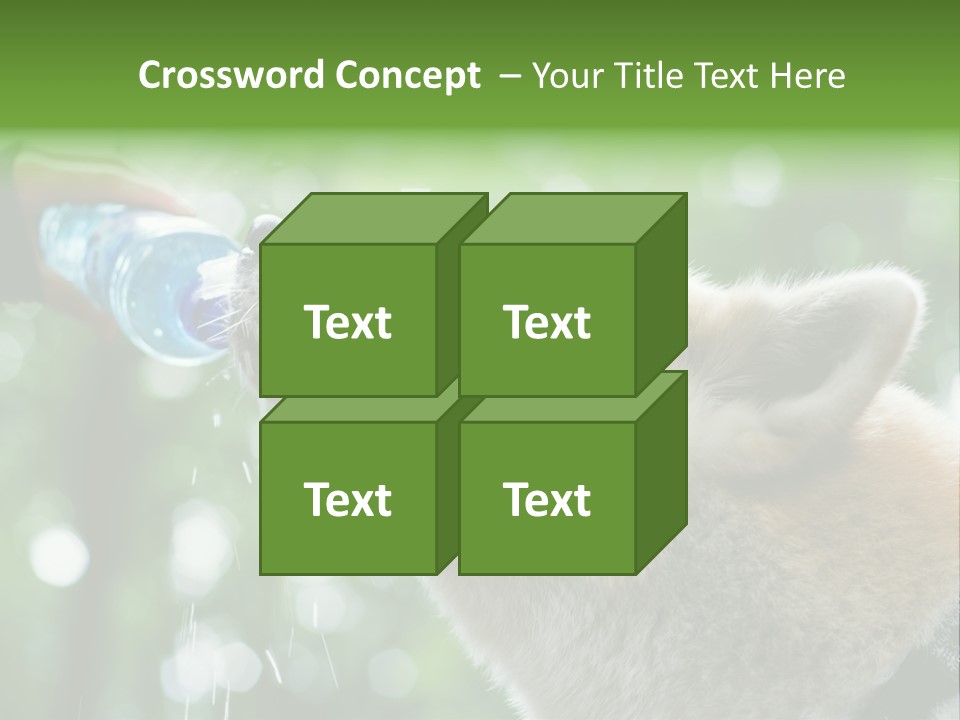 Mountain Brown Hiking PowerPoint Template