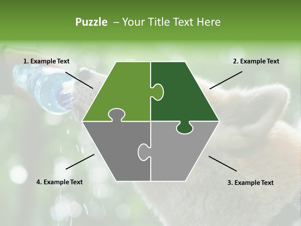 Mountain Brown Hiking PowerPoint Template