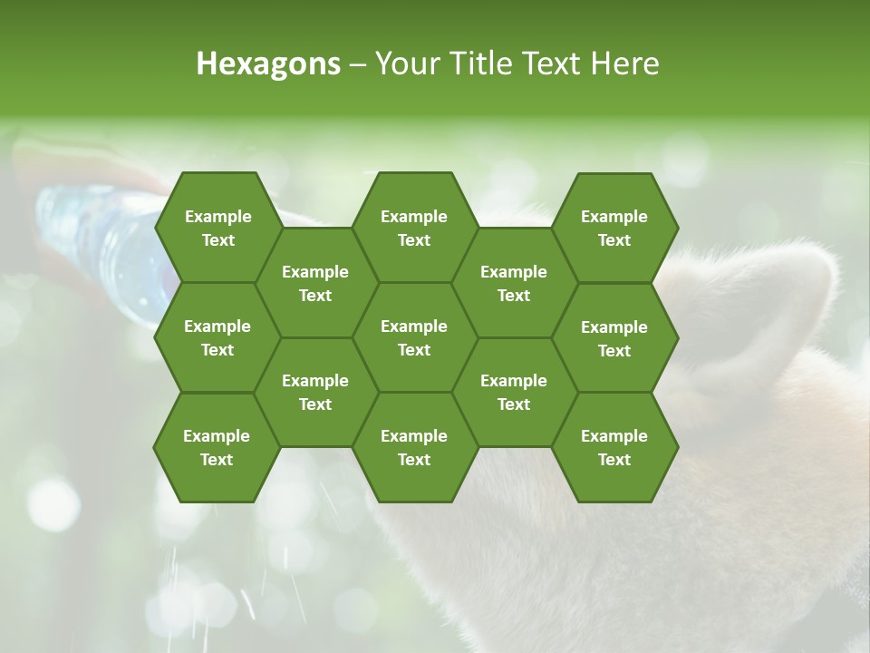 Mountain Brown Hiking PowerPoint Template