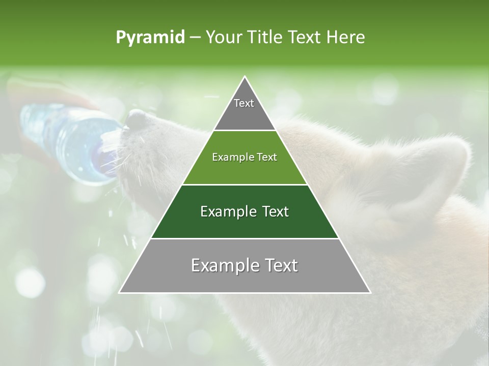 Mountain Brown Hiking PowerPoint Template