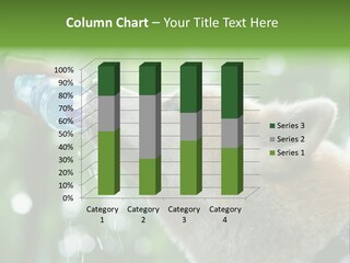 Mountain Brown Hiking PowerPoint Template