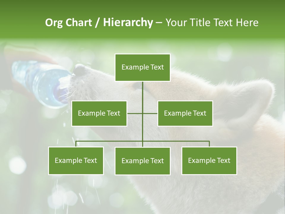 Mountain Brown Hiking PowerPoint Template