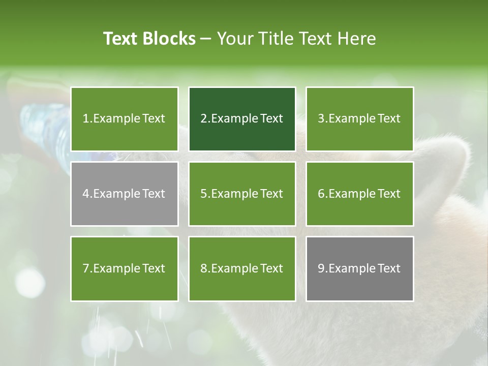 Mountain Brown Hiking PowerPoint Template