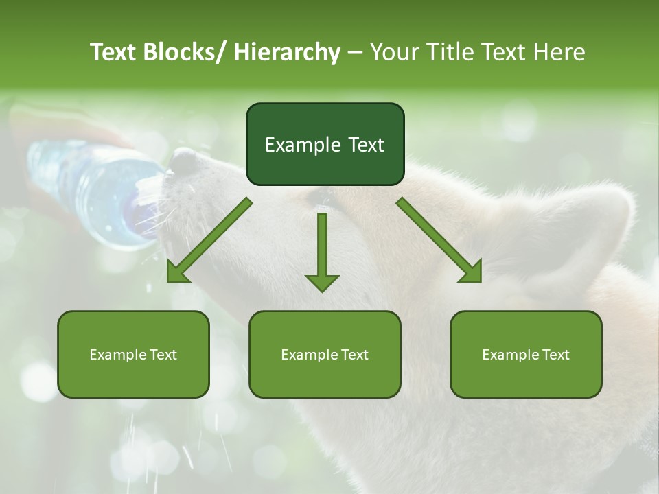 Mountain Brown Hiking PowerPoint Template