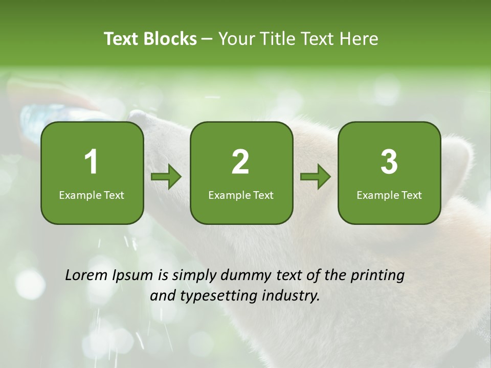 Mountain Brown Hiking PowerPoint Template