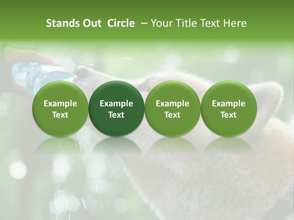 Mountain Brown Hiking PowerPoint Template