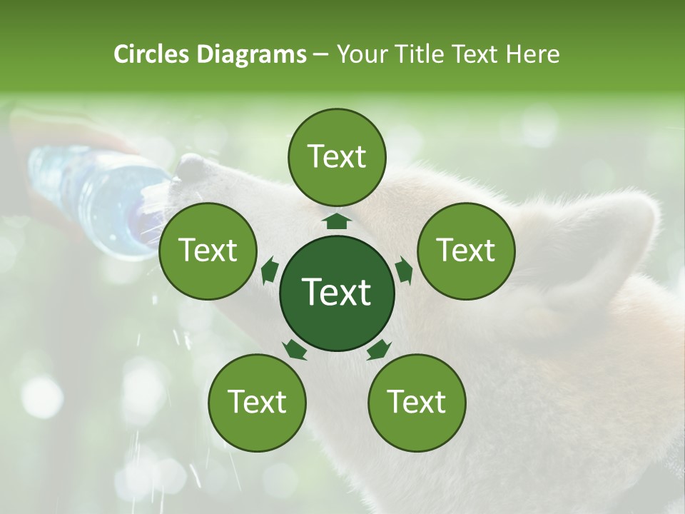 Mountain Brown Hiking PowerPoint Template