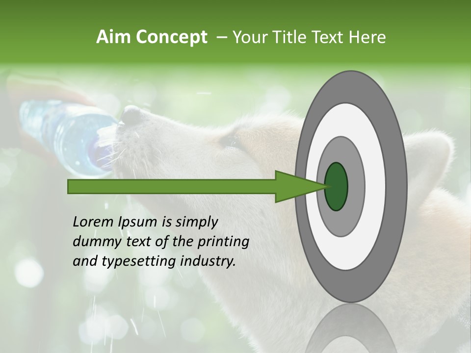 Mountain Brown Hiking PowerPoint Template