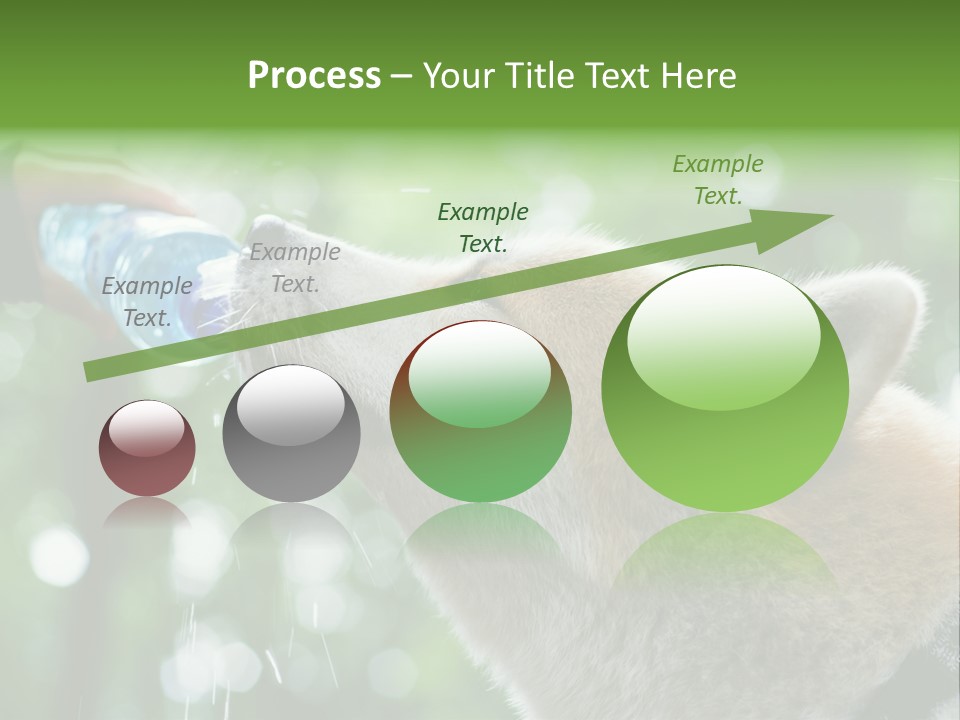 Mountain Brown Hiking PowerPoint Template