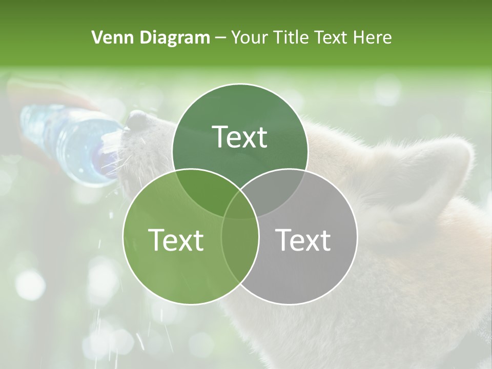 Mountain Brown Hiking PowerPoint Template