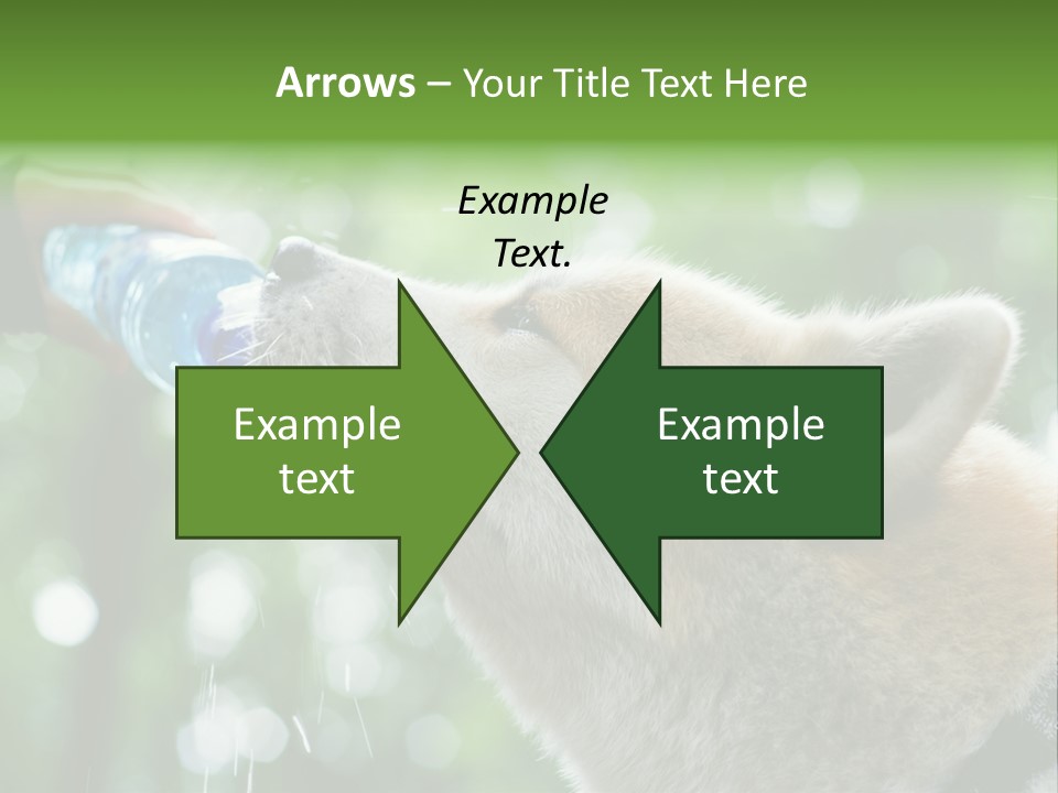 Mountain Brown Hiking PowerPoint Template