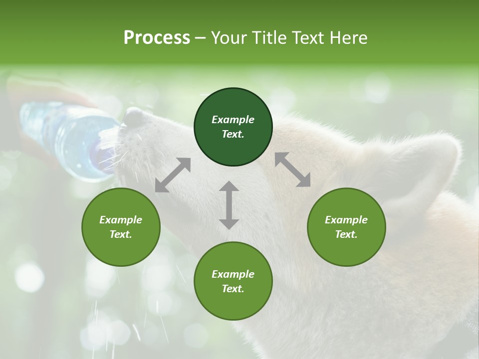 Mountain Brown Hiking PowerPoint Template