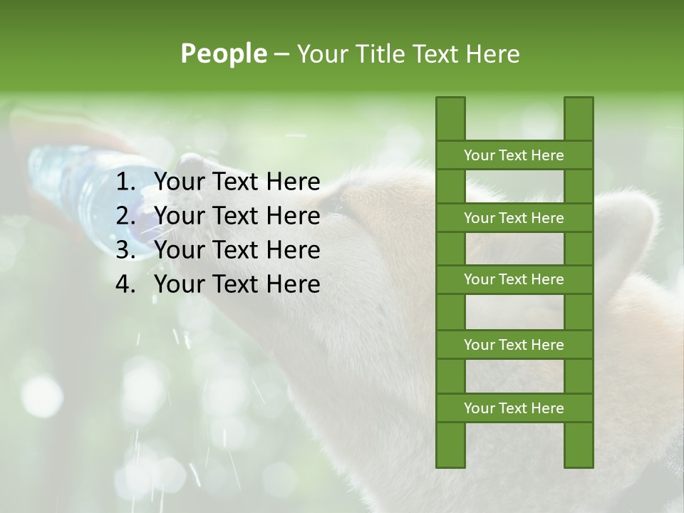 Mountain Brown Hiking PowerPoint Template