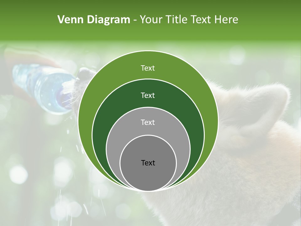Mountain Brown Hiking PowerPoint Template