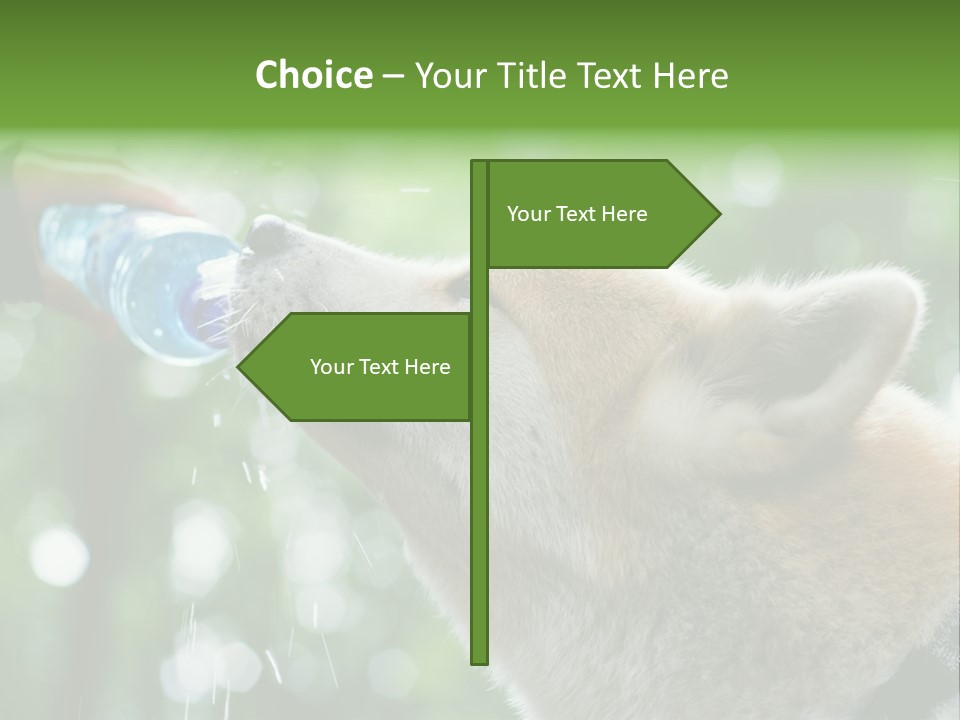 Mountain Brown Hiking PowerPoint Template