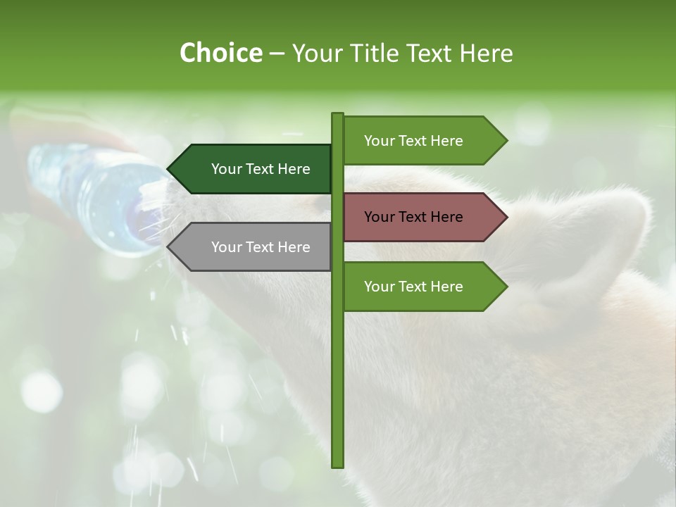 Mountain Brown Hiking PowerPoint Template