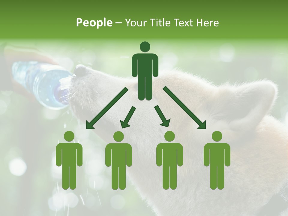 Mountain Brown Hiking PowerPoint Template