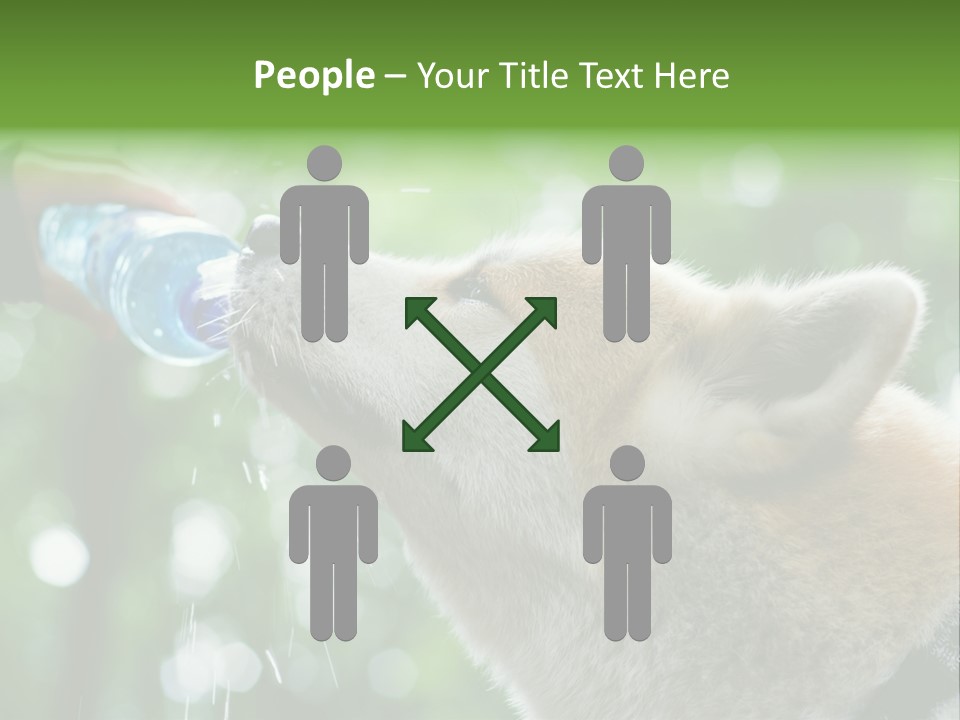 Mountain Brown Hiking PowerPoint Template