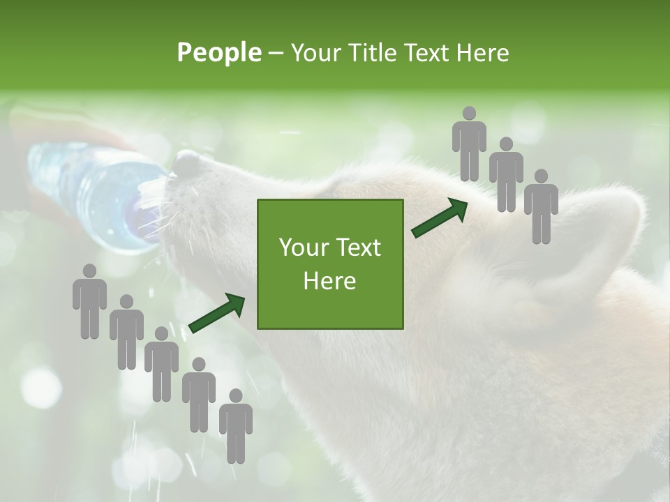 Mountain Brown Hiking PowerPoint Template