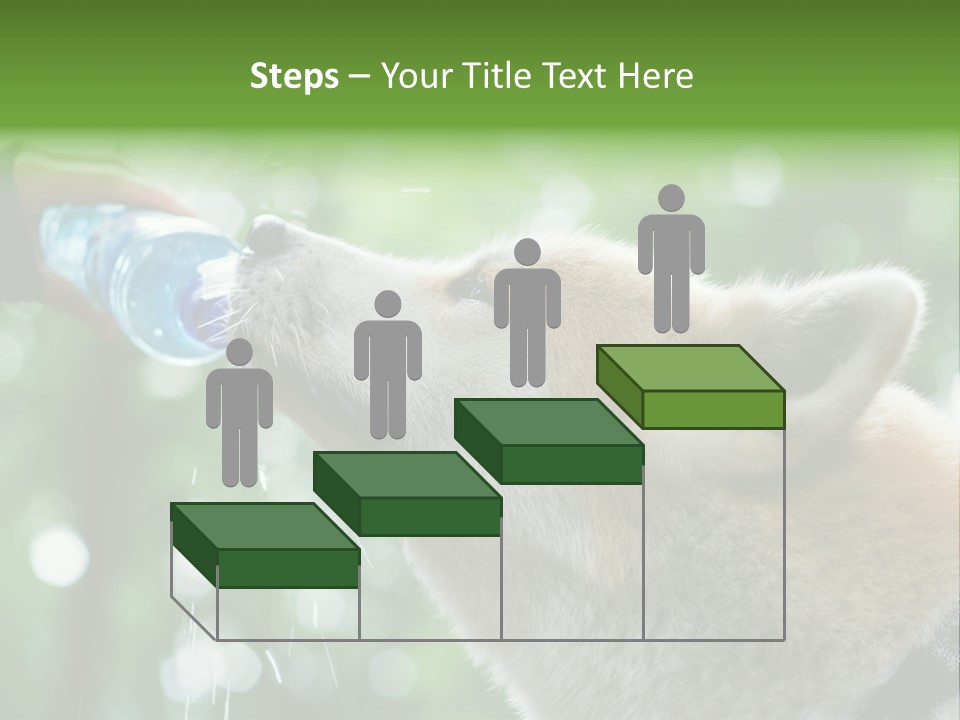 Mountain Brown Hiking PowerPoint Template