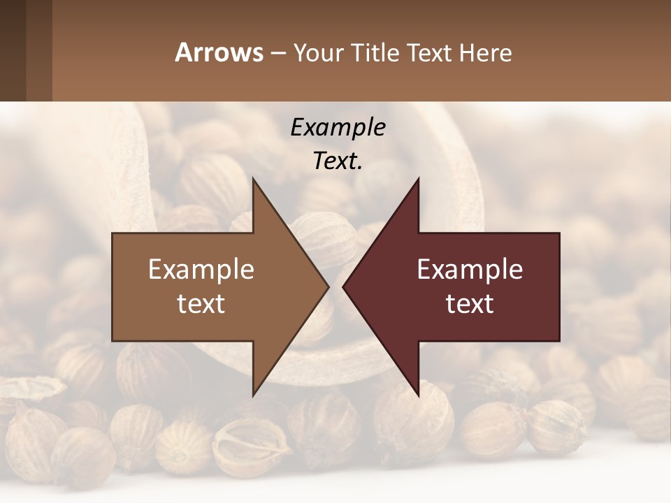 Macro Cilantro Fruit PowerPoint Template