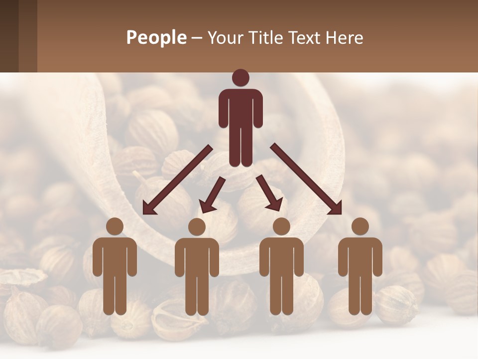 Macro Cilantro Fruit PowerPoint Template