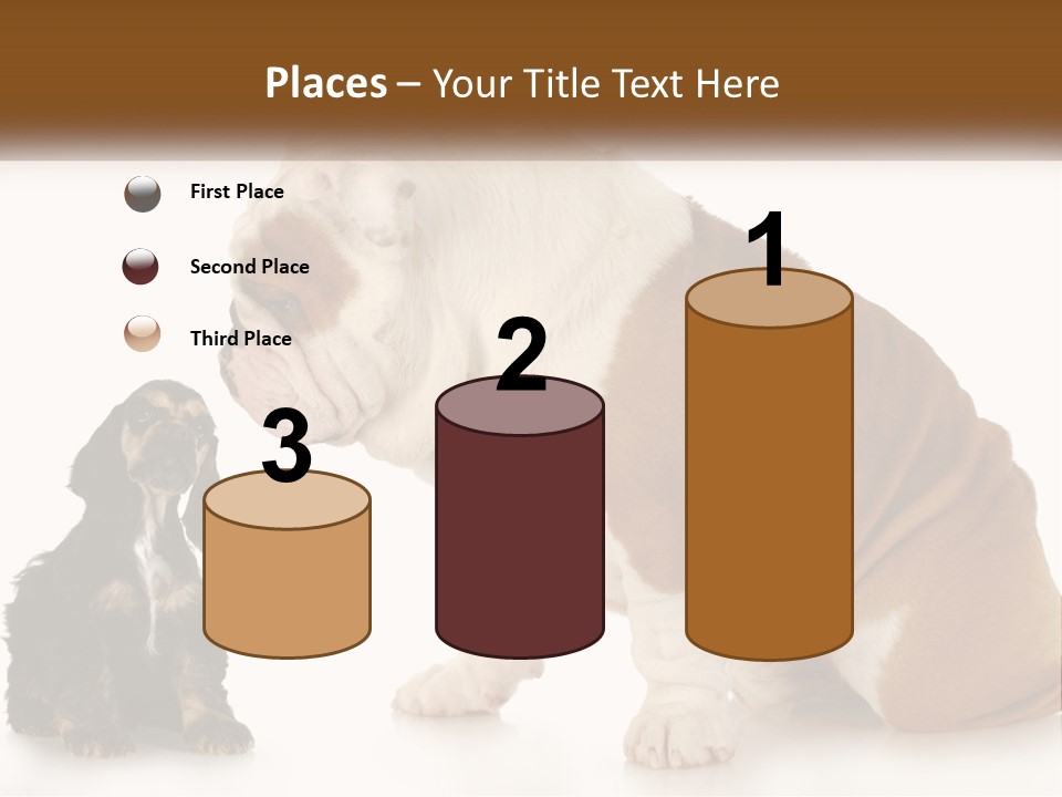 Face English Puppy PowerPoint Template