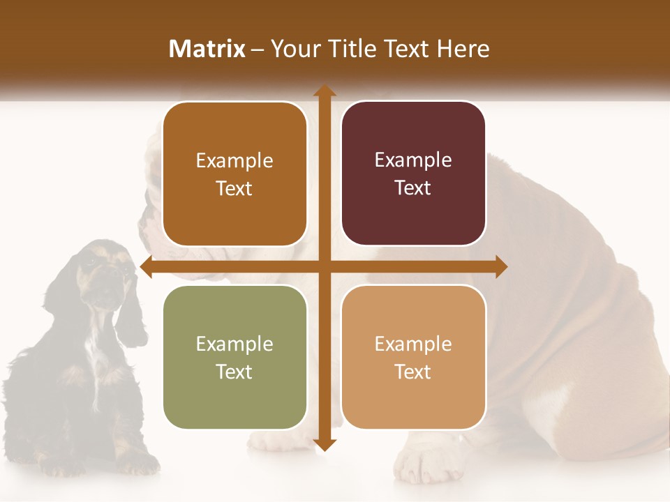 Face English Puppy PowerPoint Template