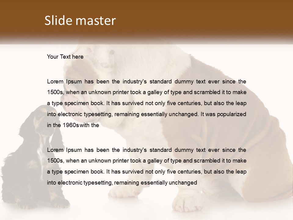 Face English Puppy PowerPoint Template