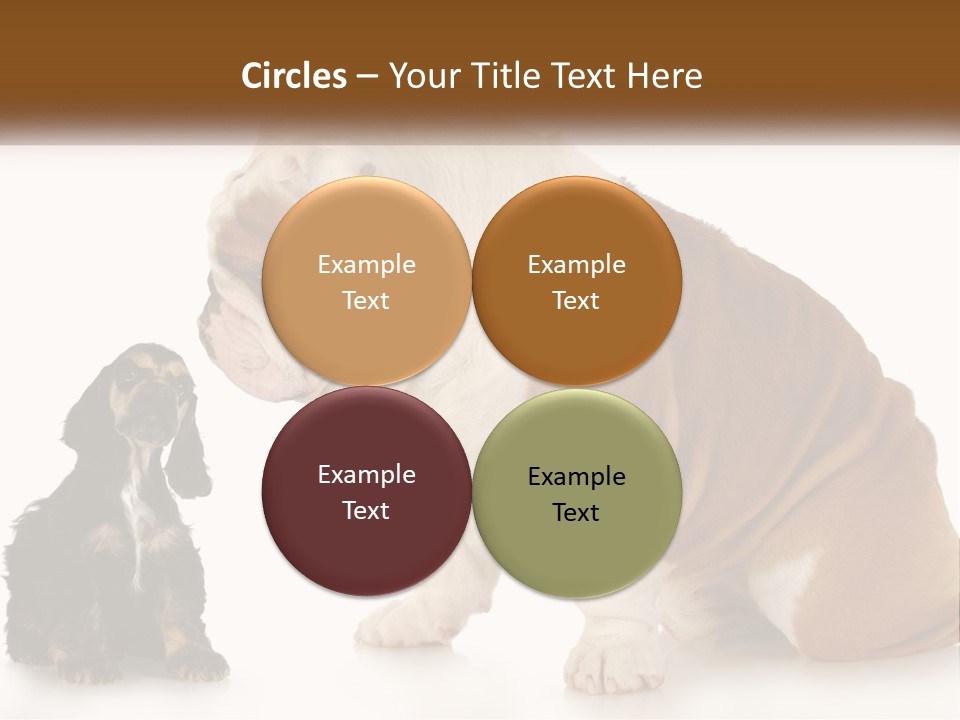 Face English Puppy PowerPoint Template