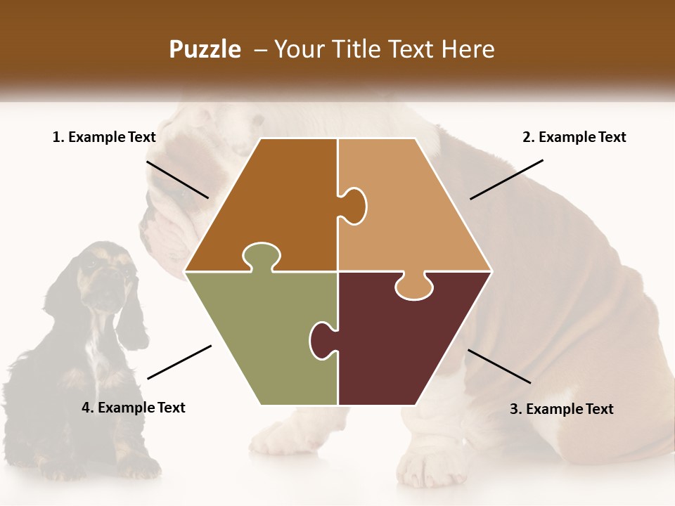 Face English Puppy PowerPoint Template